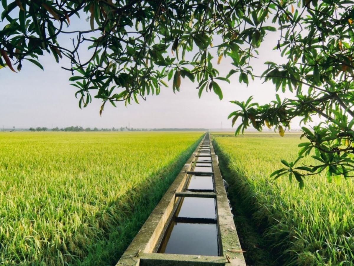 Vùng nông thôn thể hiện diện tích đất