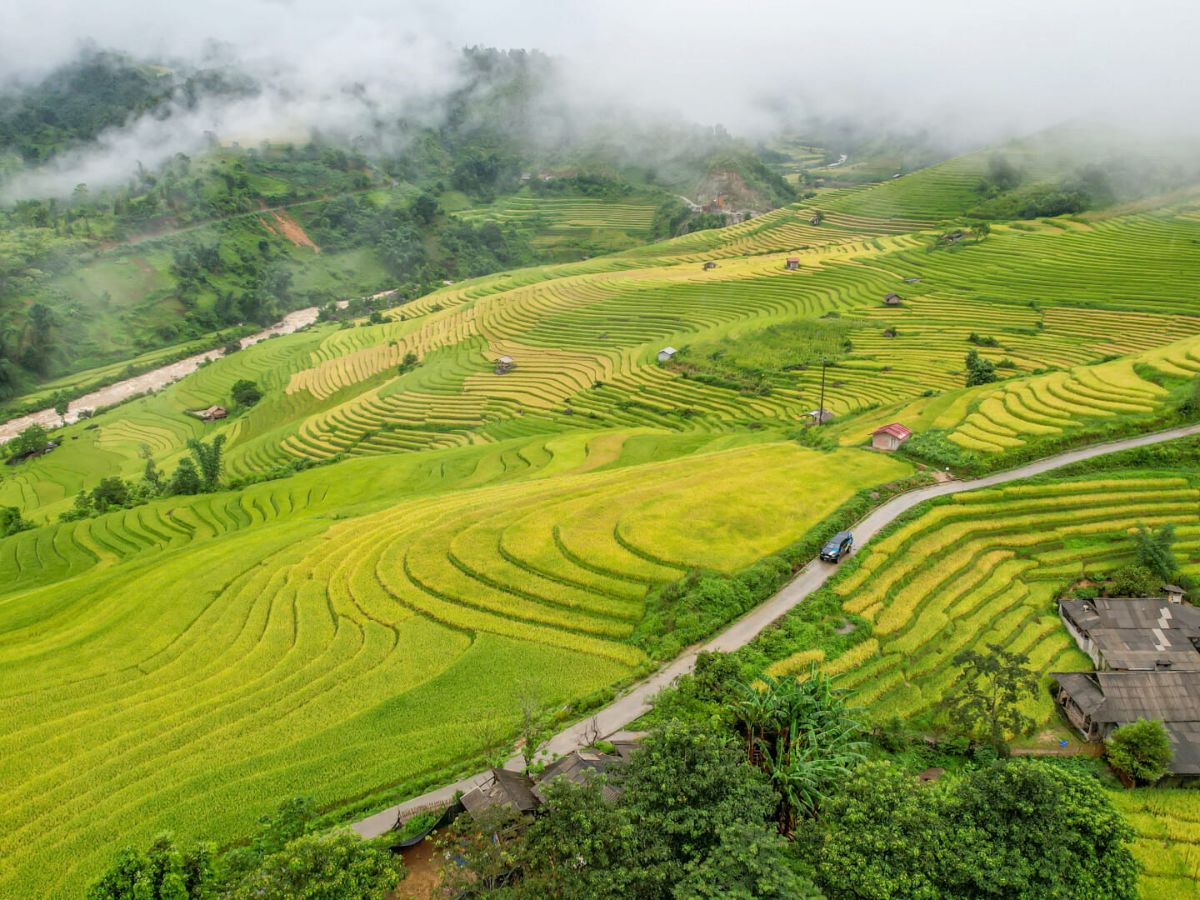 hecta - đơn vị chuẩn quốc tế dùng để đo diện tích đất