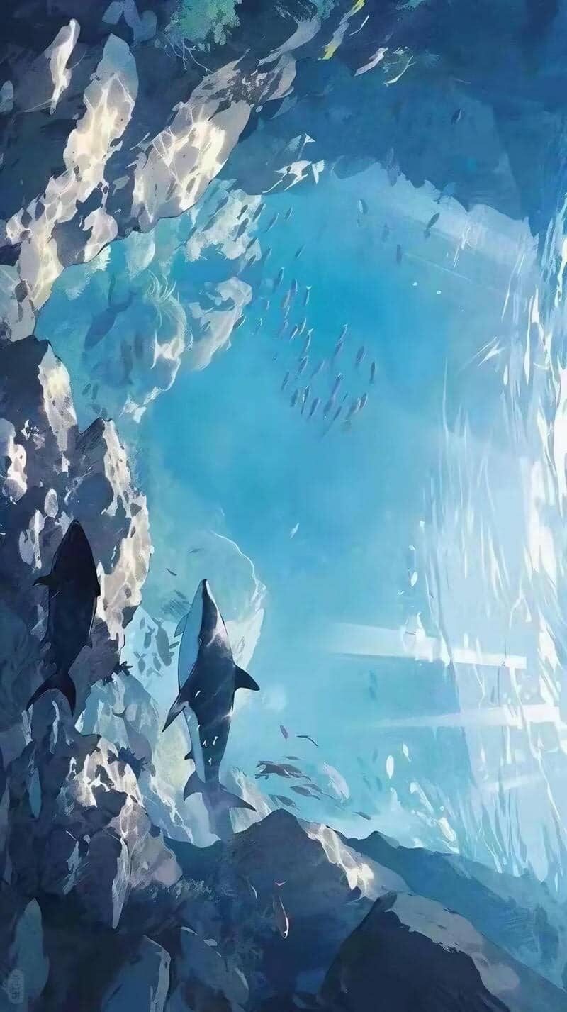 Hình ảnh cá mập cute chibi trong sáng, vui nhộn