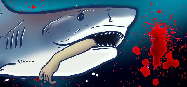 Cá mập cute trong phong cách anime, một hình ảnh dễ thương