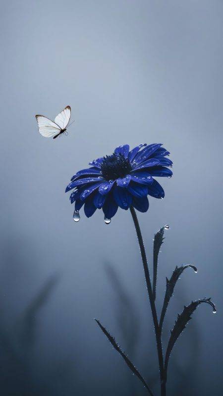 99.000+ Ảnh Hoa Buồn, Tâm Trạng Ảnh Hoa Buồn 🌺🥀🌾, Cô Đơn