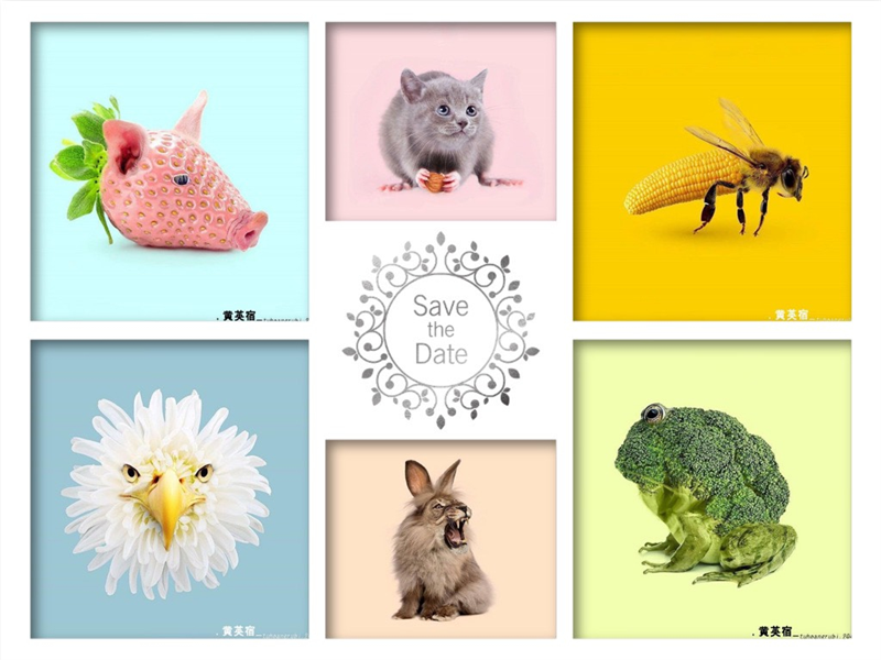 Bước 6: Chọn Kế tiếp góc phải trên cùng để Lưu lại hoặc Đăng trực tiếp lên mạng xã hội