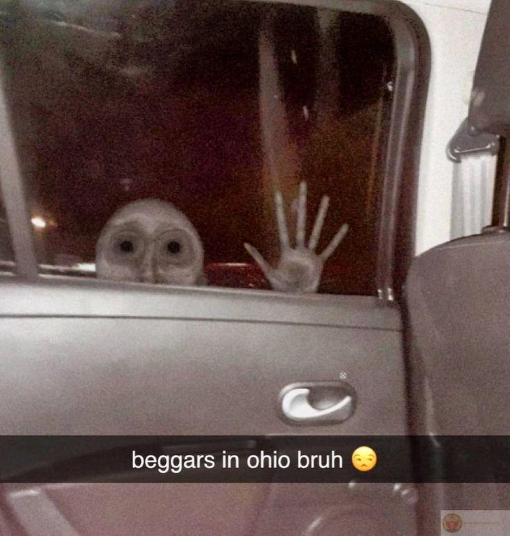 Brainrot meme hài hước mang lại bầu không khí tươi vui cho cộng đồng