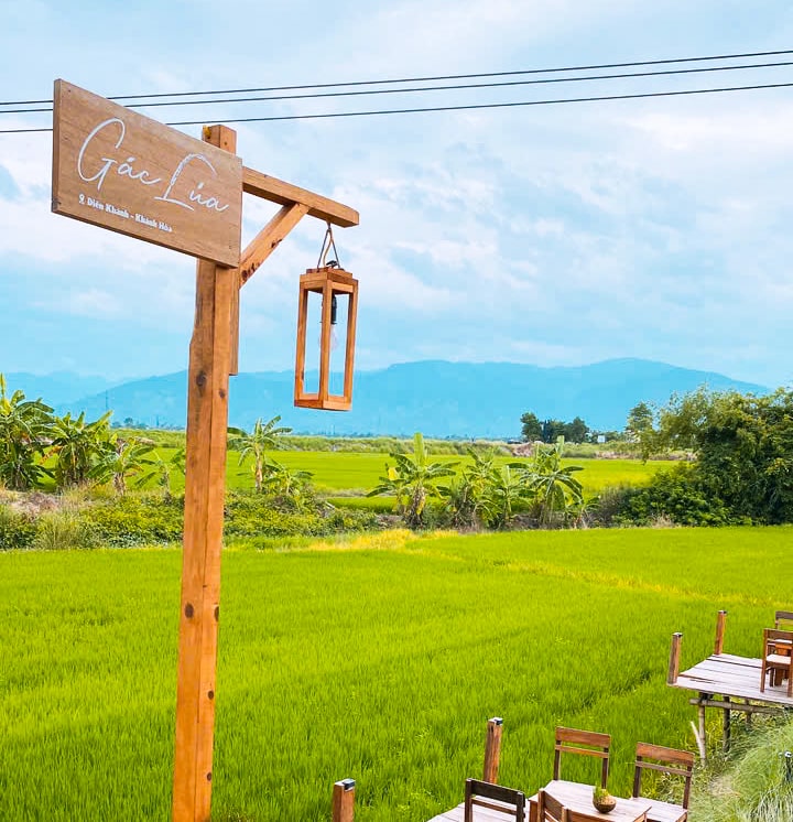 Gác Lúa Coffee - Quán cà phê view đồng lúa siêu chill ở Diên Khánh, Khánh Hòa