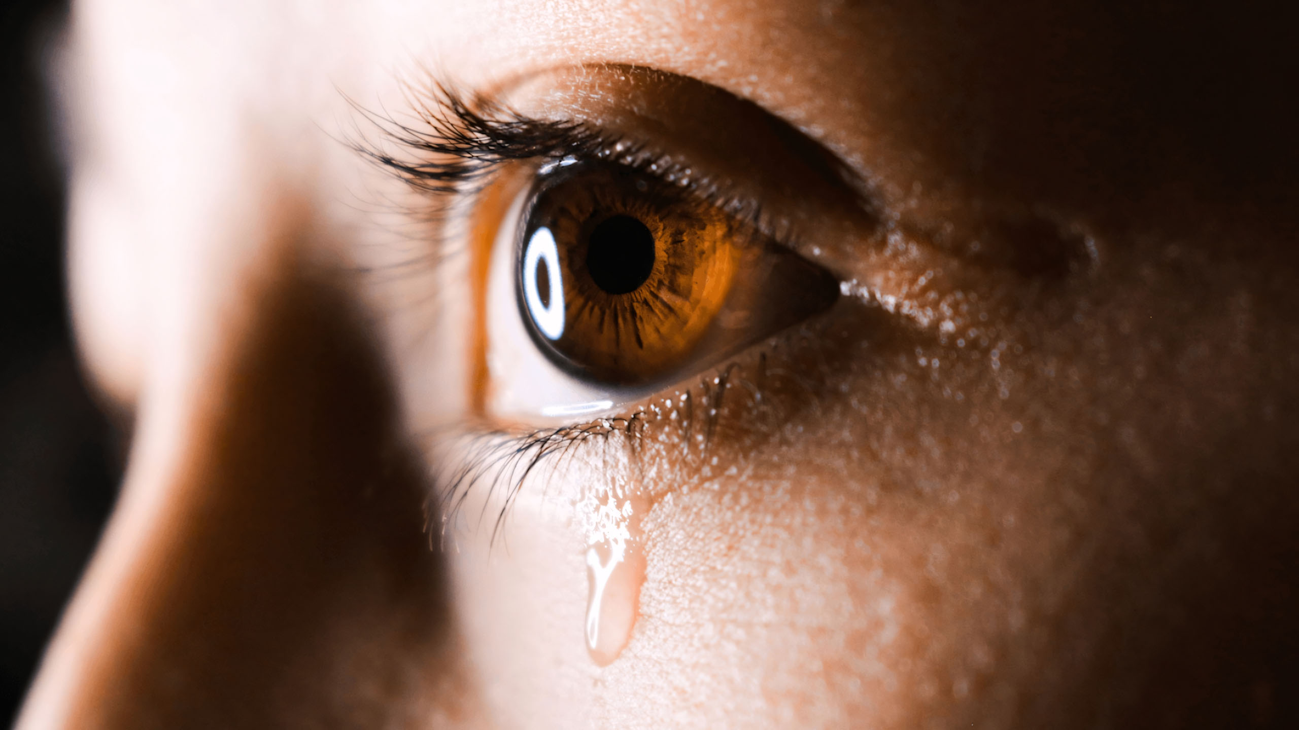 anh giot nuoc mat buon 2560px 1440px 2k 42