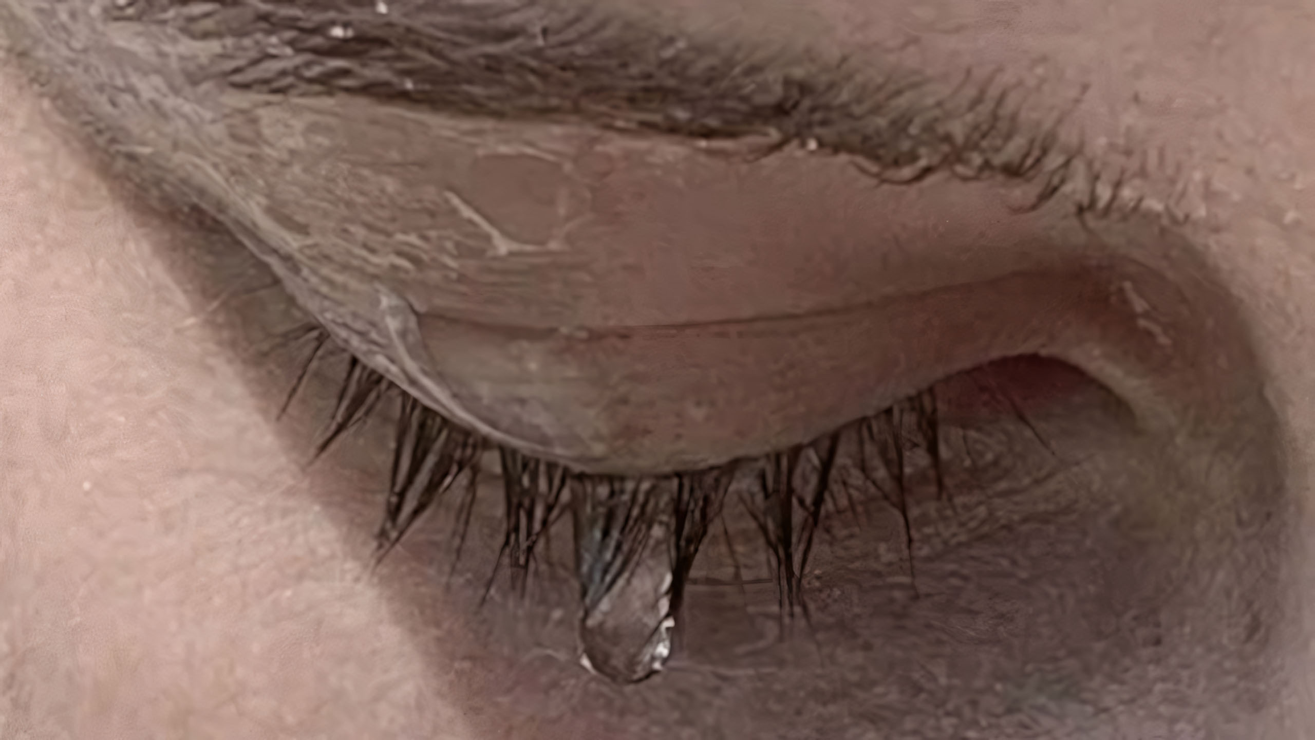 anh giot nuoc mat buon 2560px 1440px 2k 24