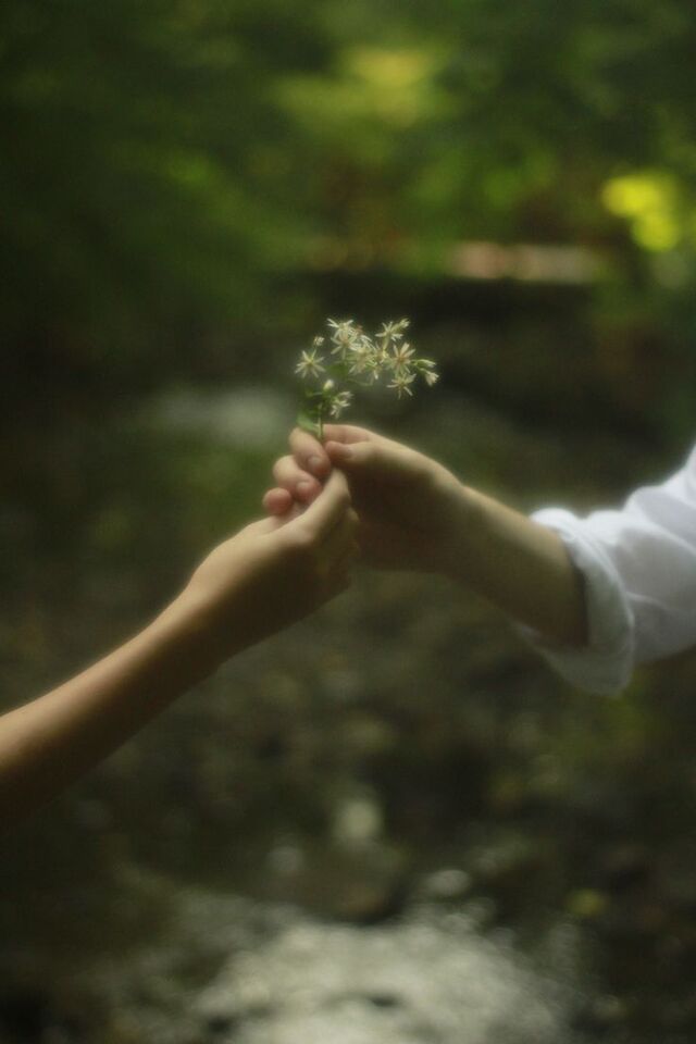 Hình ảnh cặp đôi nắm tay nhau trong các giai đoạn tình yêu