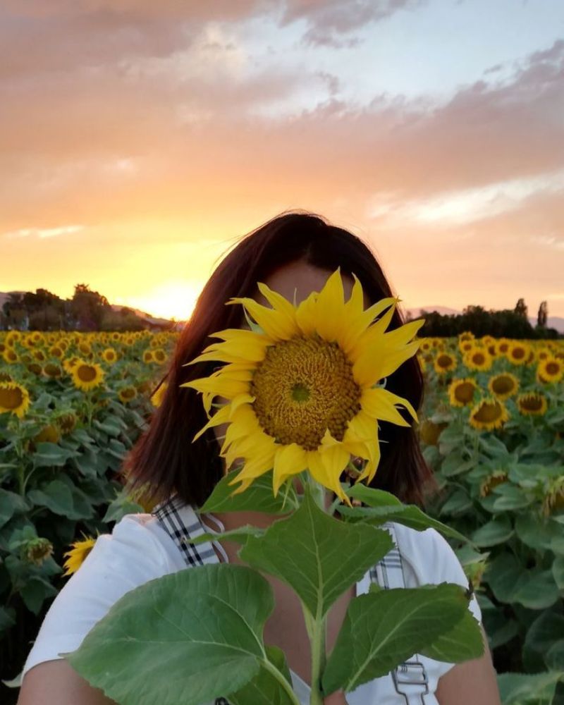 Ảnh gái đẹp che mặt làm hình đại diện xinh