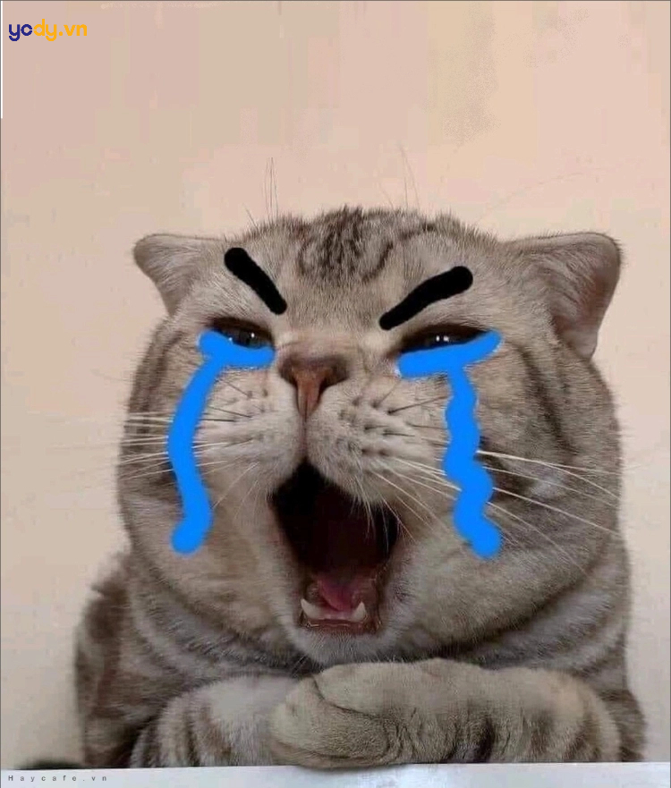 Ảnh đại diện hài, vô tri, đang khóc nhè