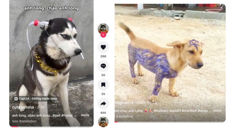 “Anh Long” là ai mà fan Việt gọi vang cuối tuần vừa rồi?