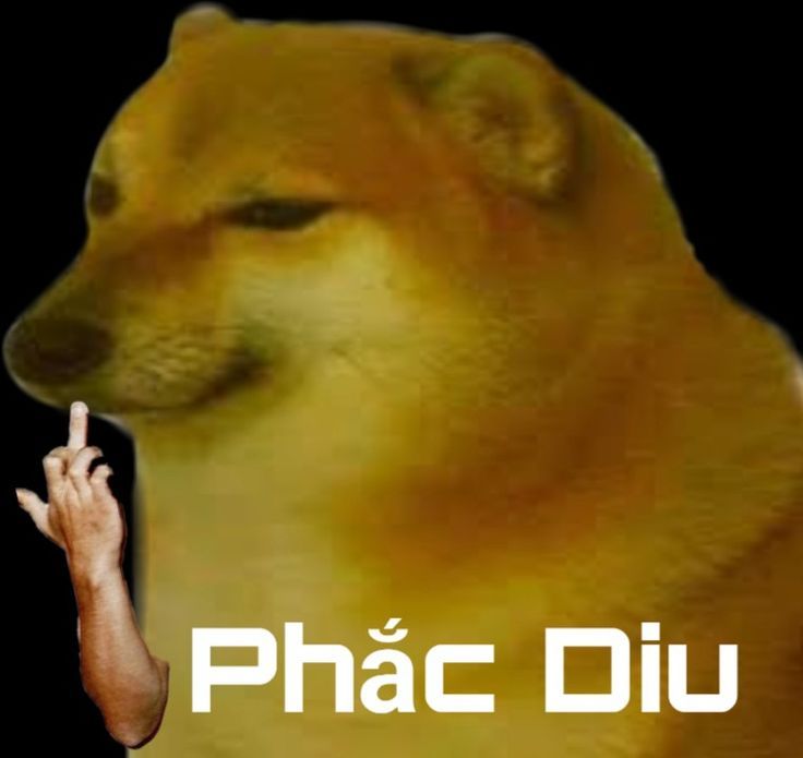 meme hài bựa