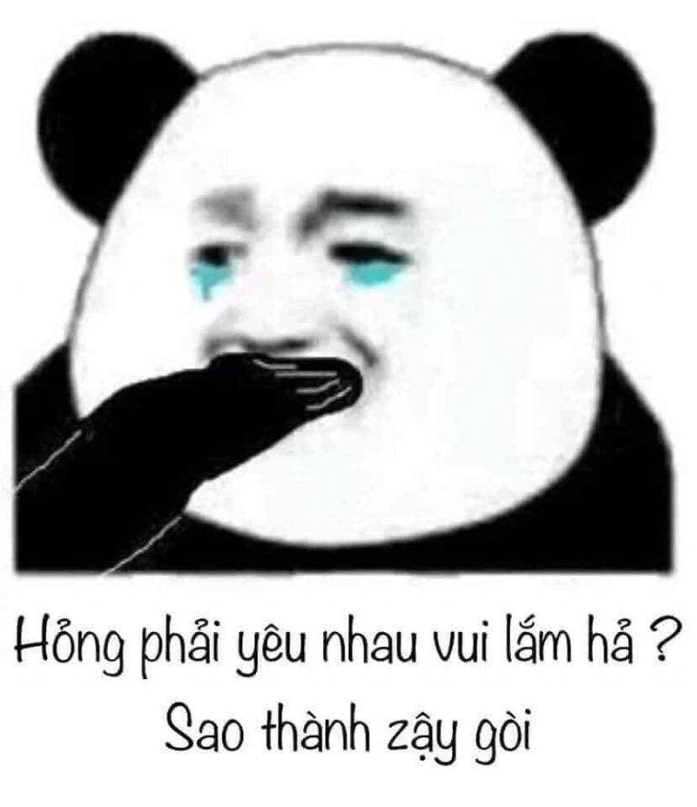 meme hài bựa
