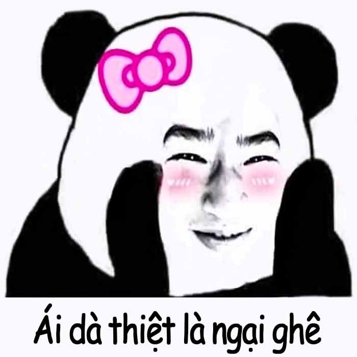 meme hài bựa