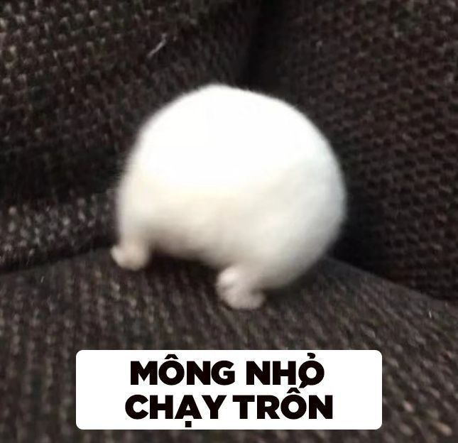 meme hài bựa