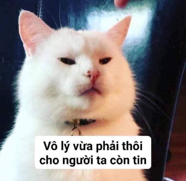 meme hài bựa
