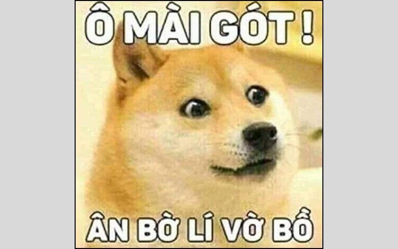meme hài bựa