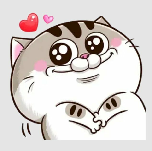 Mèo chibi mập cực cute