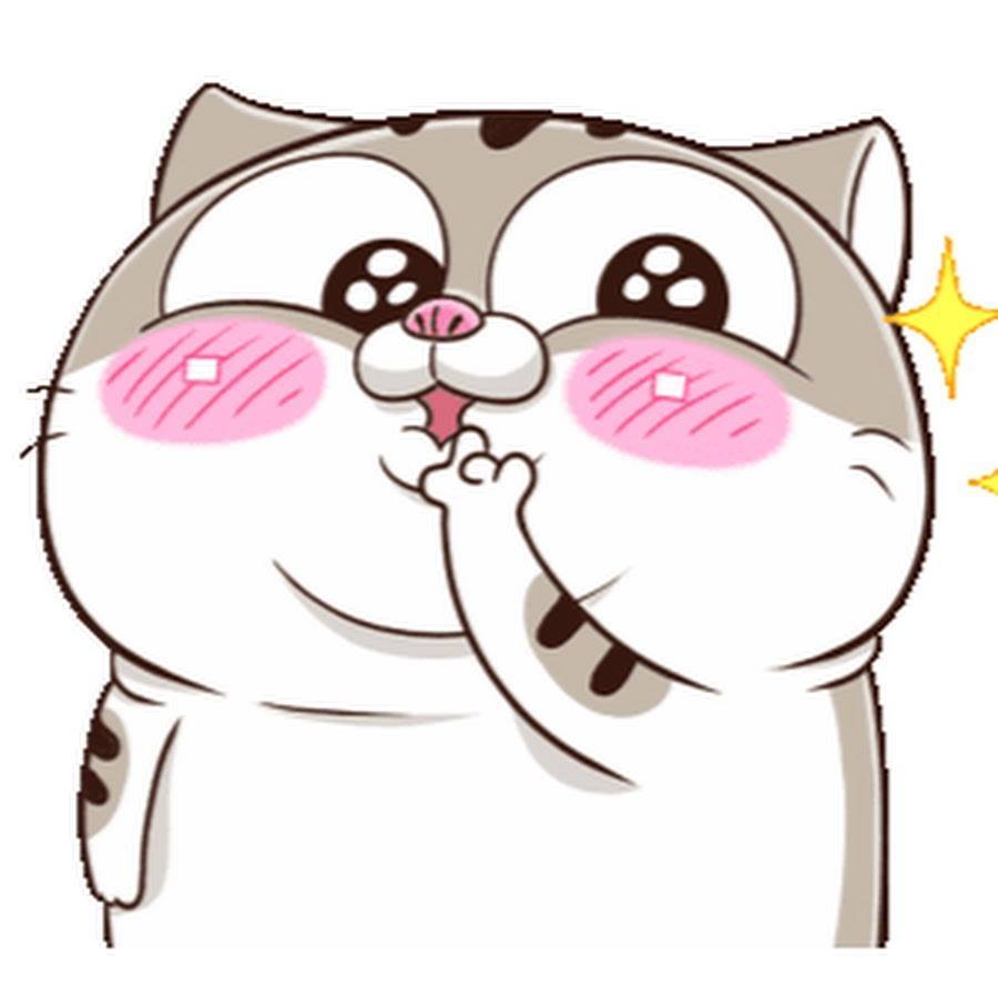 Mèo chibi mập dễ thương, cute