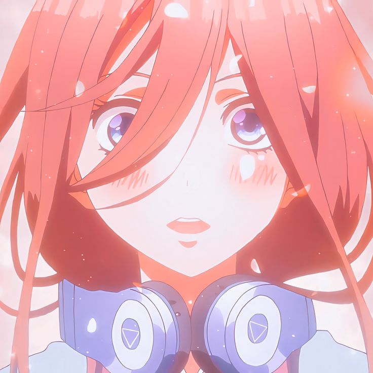 Miku không nói nhiều, nhưng fan tự động hiểu lòng