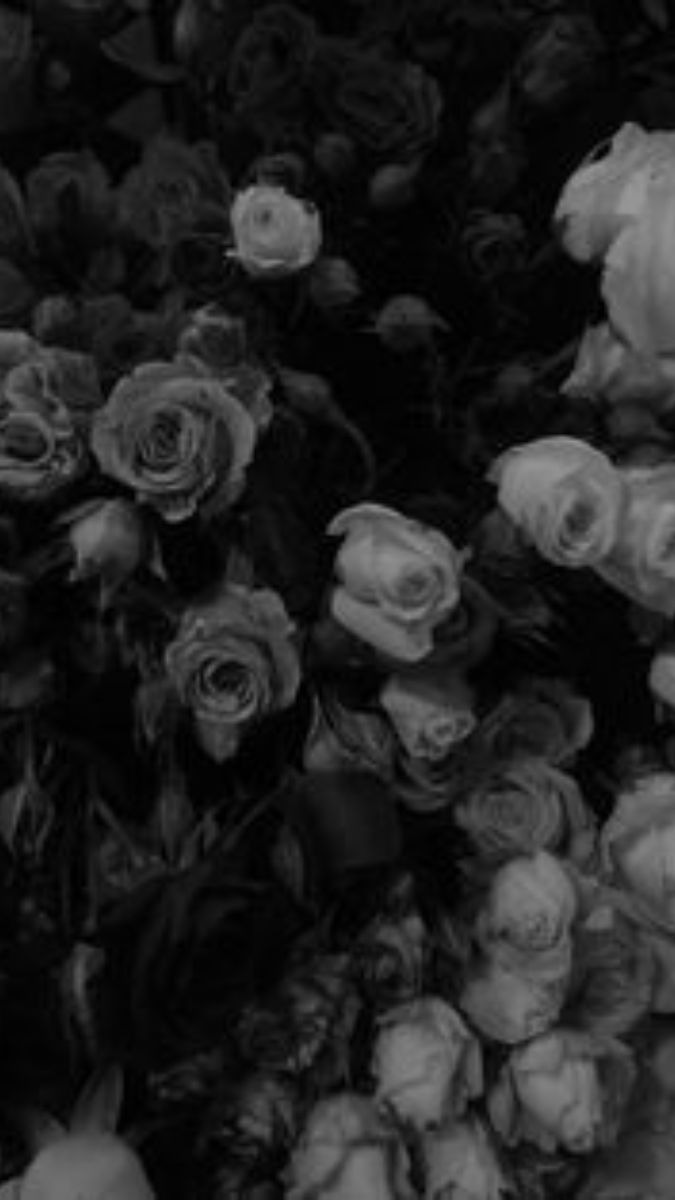 Hình nền điện thoại đẹp ngầu