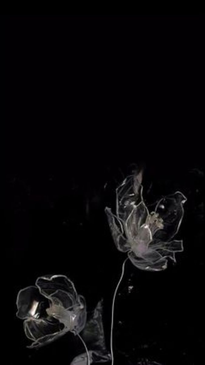 Hình nền điện thoại đẹp màu đen sao trời