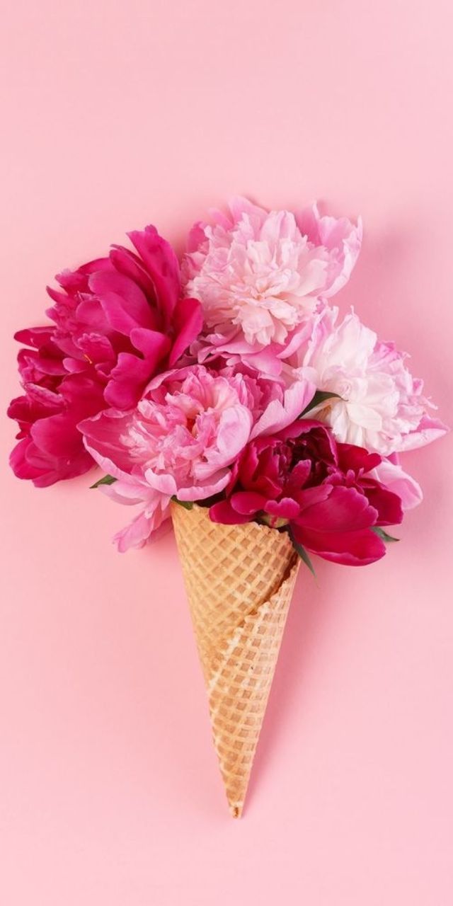 hình nền hoa lá cho điện thoại