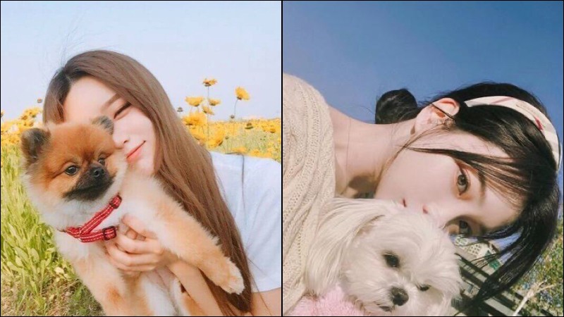 Chụp cùng thú cưng