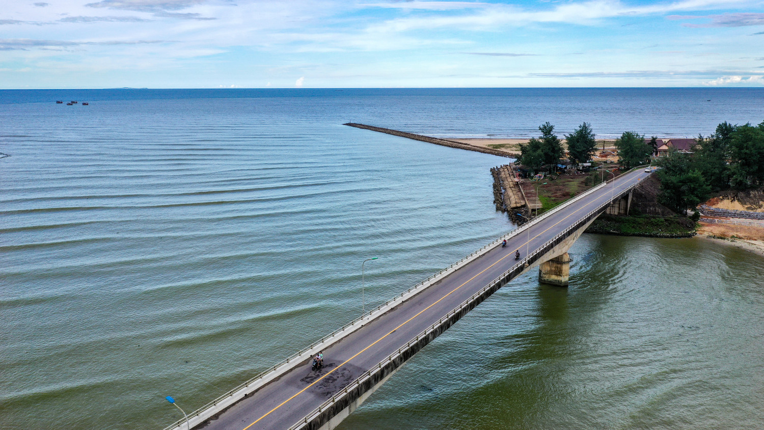 Cỏ lông chông trên miền cát trắng...