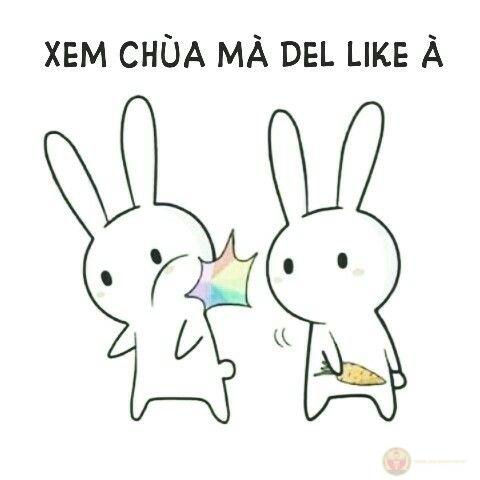 Thỏ không nói gì là đang rất buồn