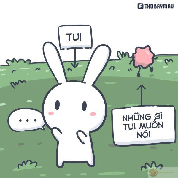 Tui không cần giải thích, chỉ cần cảm thông