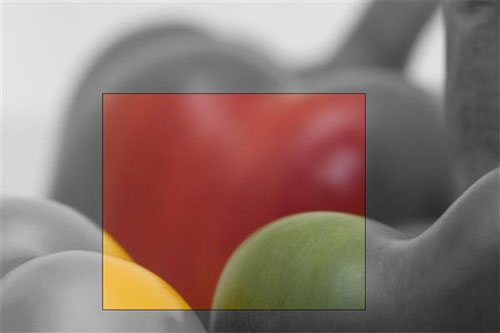 Chụp ảnh màu đen trắng