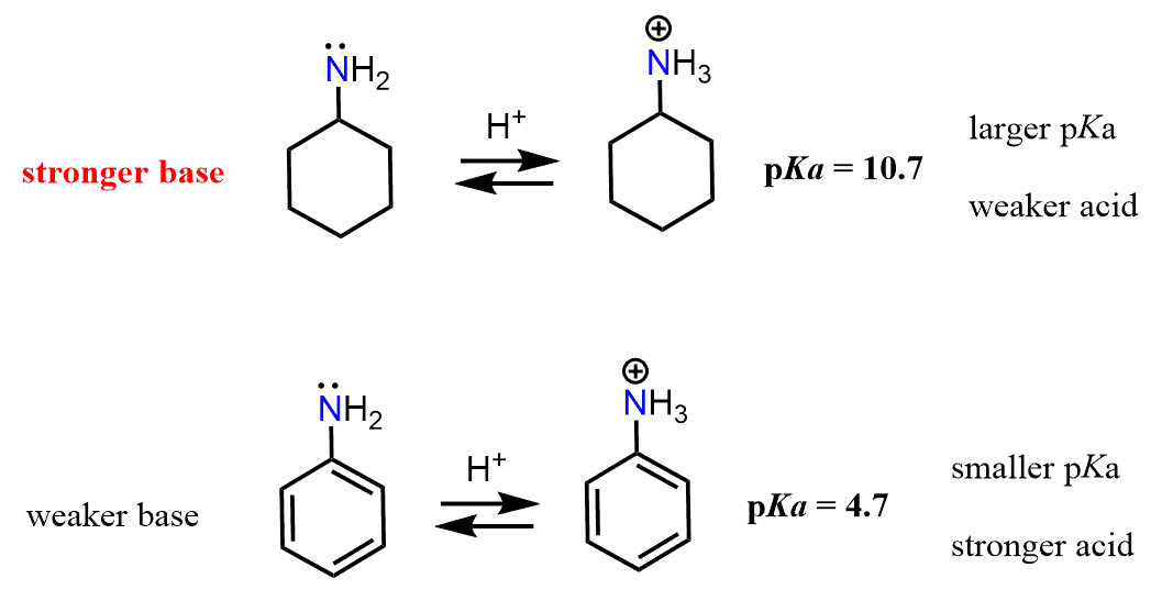 Reactions of Aniline