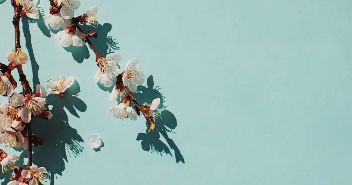 background Powerpoint Nhật Bản 8