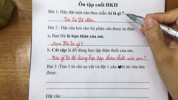 Bài tập thực hành đặt câu theo mẫu ai, cái gì, con gì, là gì cho học sinh