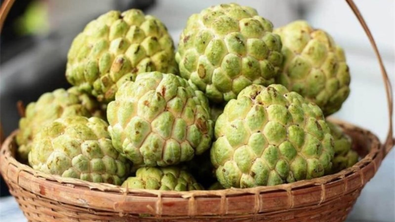 Cách chọn na ngon, cách bảo quản na điều kiện thường, na chín trong tủ lạnh