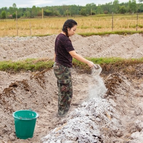 Cải tạo đất trồng hiệu quả bằng 7 phương pháp tự nhiên