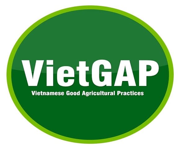 Chứng nhận VietGAP trồng trọt: 8 bước cấp chứng nhận VietGAP trồng trọt (2024)