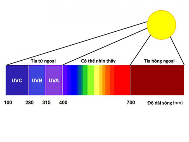 Tia tử ngoại là gì? Đặc điểm, phân loại và ứng dụng trong đời sống