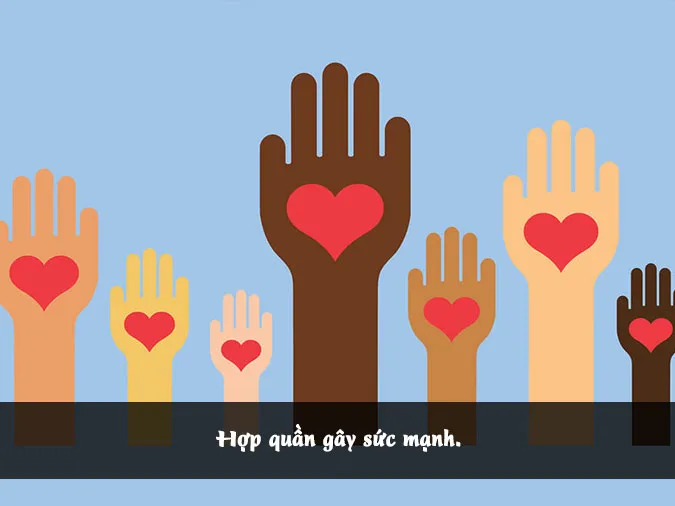 tuc-ngu-ve-doan-ket-voh-3