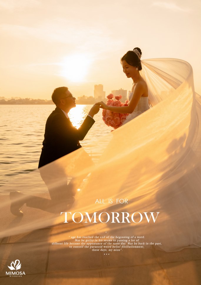 concept chụp ảnh cưới