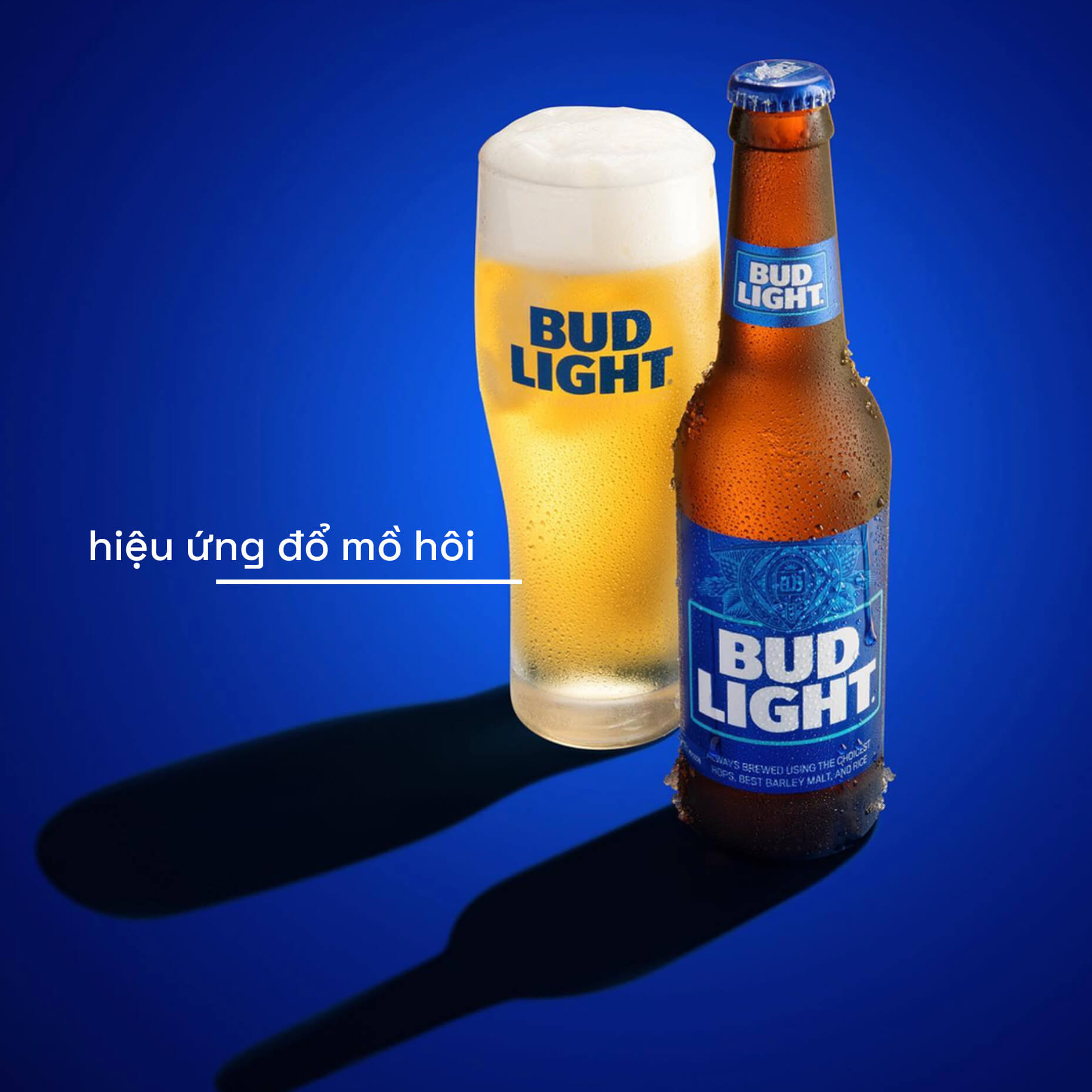 chụp ảnh đồ uống