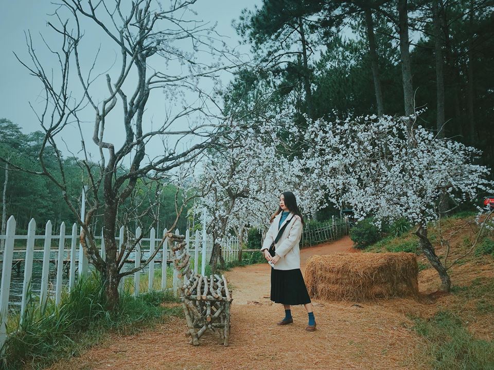 Đà Lạt – Đi để tận hưởng & tìm sự bình yên đích thực cho bản thân