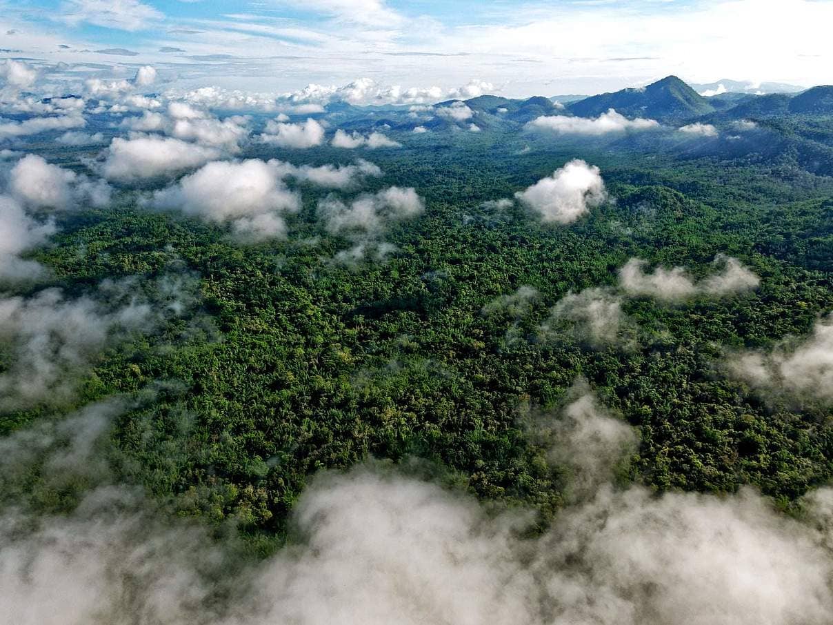 Cảnh quan chủ yếu của Đông Nam Á là? Yếu tố nào ảnh hưởng đến cảnh quan khu vực?