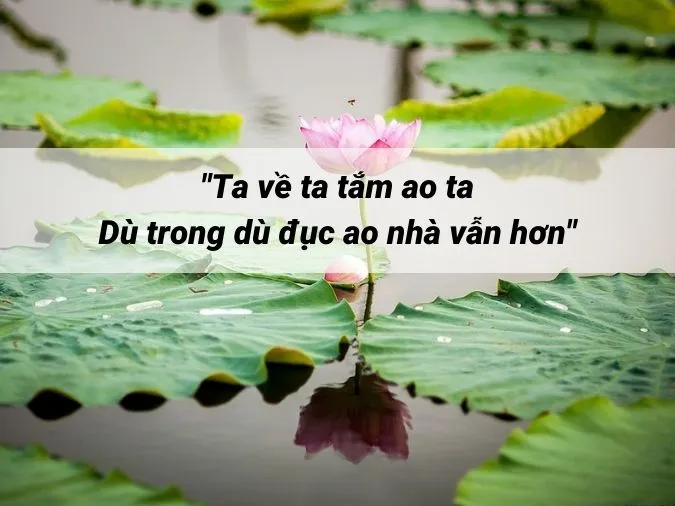Ý nghĩa và nguồn gốc của câu ‘Cáo chết ba năm quay đầu về núi’ 2