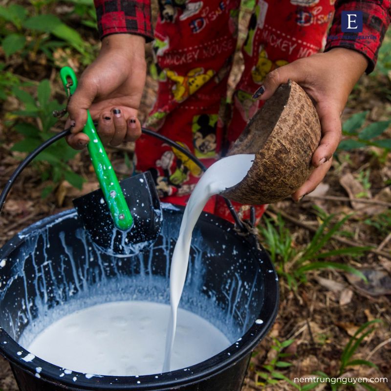 Nhược điểm cao su tự nhiên