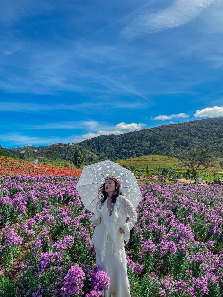 stt thả thính đi du lịch Đà Lạt