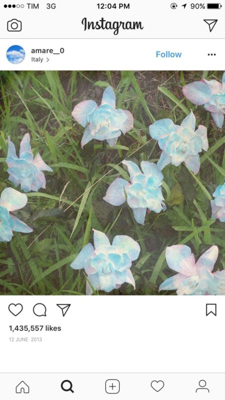 Câu chuyện thứ ba: ‘Smeraldo’ được phát hiện như thế&nbsp;nào?