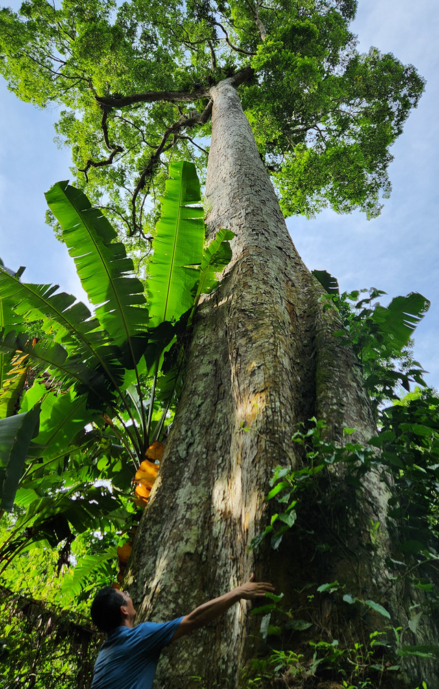 Hệ sinh thái đa dạng ở Vườn Quốc gia Cúc Phương