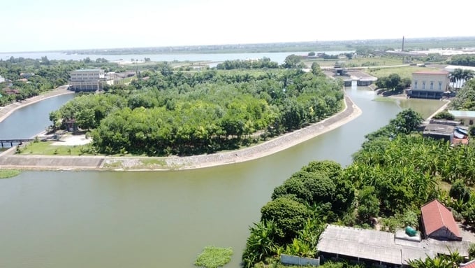 Sắc xanh bạt ngàn trên công trình thủy lợi Bắc Nam Hà. Ảnh: Quang Dũng. 