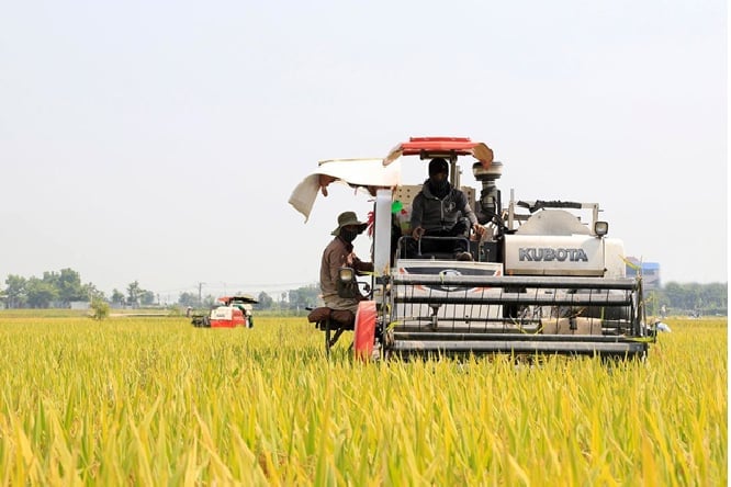 Những vùng đất